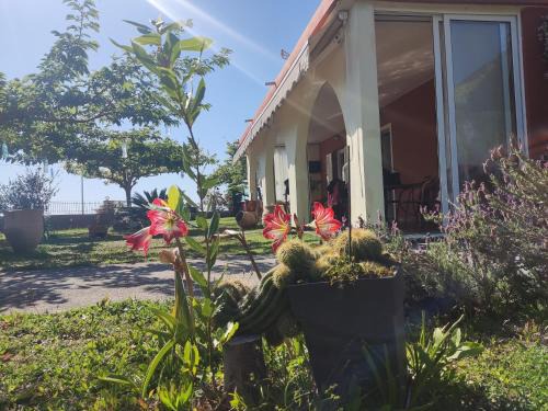 Lygia Casa | Sun N Sand