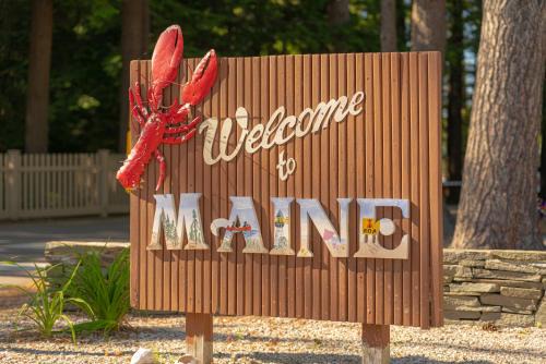 Southern Coast Otro | Sun Outdoors Saco Old Orchard Beach