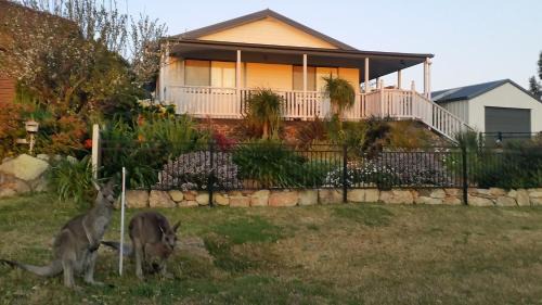 Sanctuary Point Casa | Sundowner Cottage
