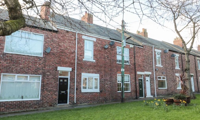 Whitley Bay Casa | Sunflowers