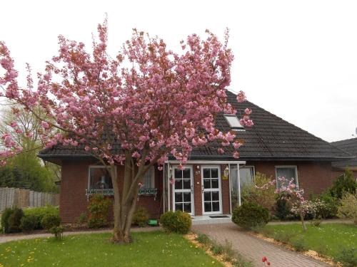 Scharbeutz Apartamento | Sunhaus Koch