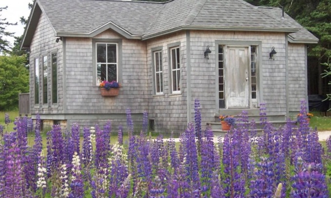 Stonington Cabaña | Sunlit Cottage on Crockett Cove