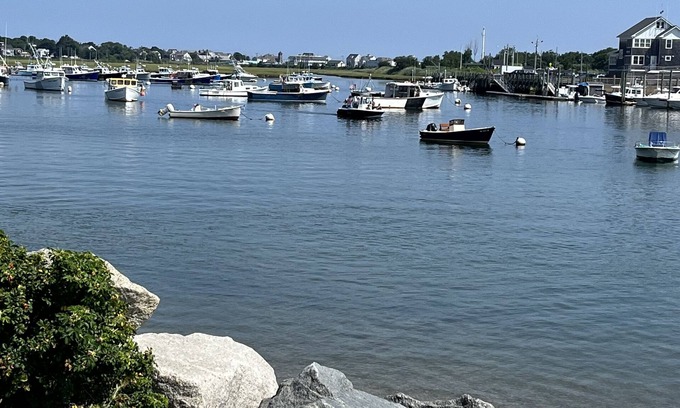 Green Harbor-Cedar Crest Cabaña | Sunny 2-bedroom beach cottage, walk to beach!