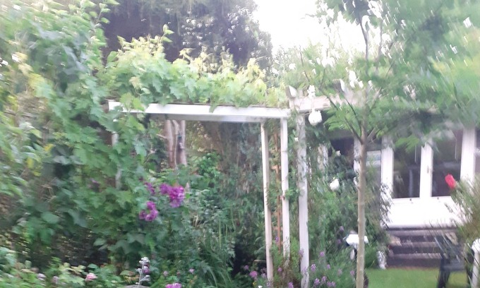 Hastings Cabina | Sunny log cabin set in beautiful peaceful garden . 10mins walk to town and beach