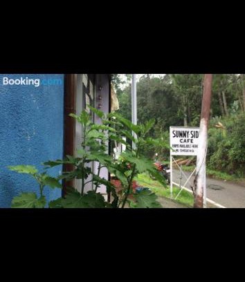 Almora Casa | Sunny-side cottage&cafe