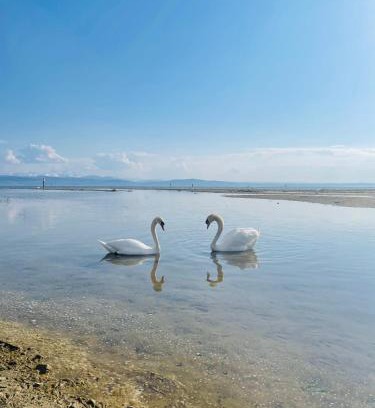 Waggershausen Apartamento | " Sunshine am See "
