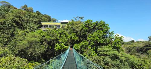 Montezuma Cabina | Sunshine Sanctuary Boutique Jungle Lodge