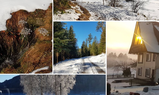 Buhlbach Apartamento | Sunshine - the power of nature and the sauna
