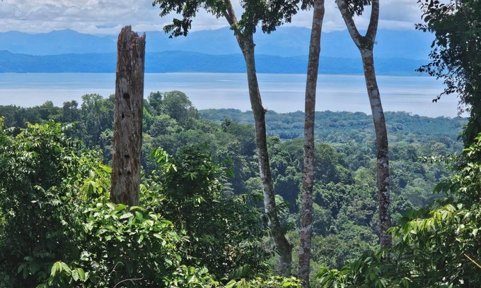 Puerto Jiménez Cabina | Superb 2-bedroom cabin in the Osa Penisula with stunning mountain and sea views