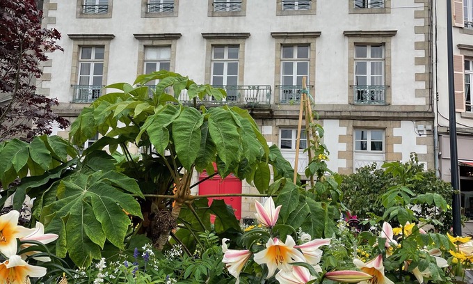 Morlaix Casa | Superb apartment with full view of Morlaix harbour
