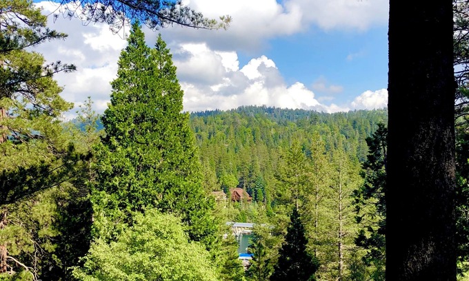 Blue Jay Cabina | Superb treetop cabin with Blue Jay Bay view and WiFi in Lake Arrowhead
