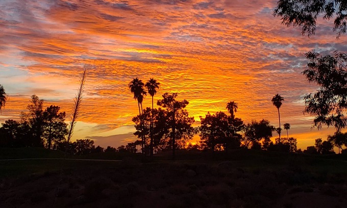 Superstition Lakes Condominio | Superstition Lakes Golf Condo con vistas al campo de golf!