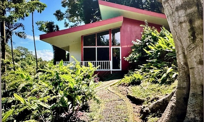 Pavones Casa | Surf Shack- Set in Jungle, Walk 2 Beach, WiFi, & Back-Up Power in Outages