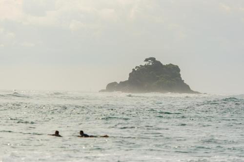 Midigama Hotel | Surfescape Sri Lanka