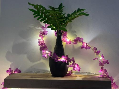 Ejipura Apartamento | Swarga Fireflies Swarm
