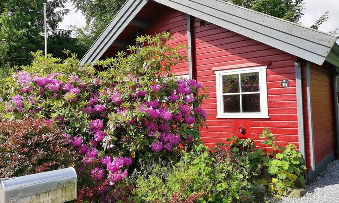 Geel Casa | Suecia acogedora casa cerca de Brodersby / Missunde