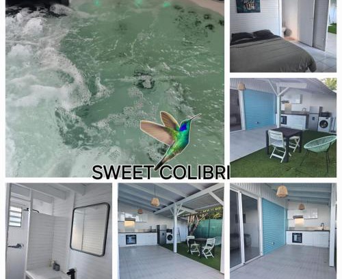Saint-Pierre Apartamento | Sweet Colibri