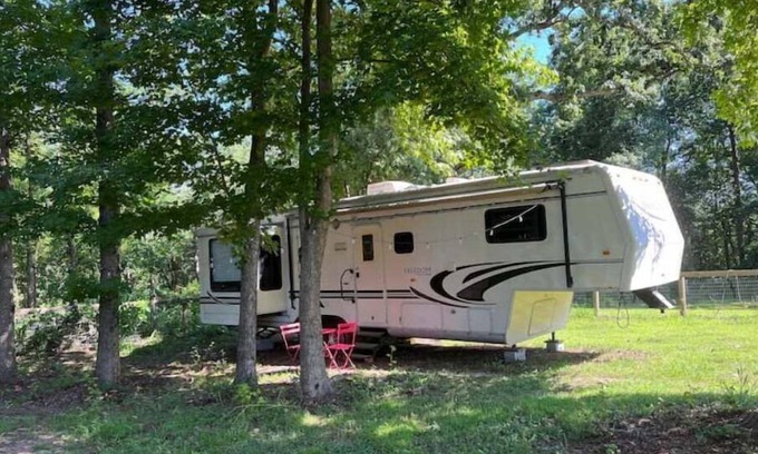 Landrum Casa | Sweet Gum Camper at Cluckin Lucky Farm