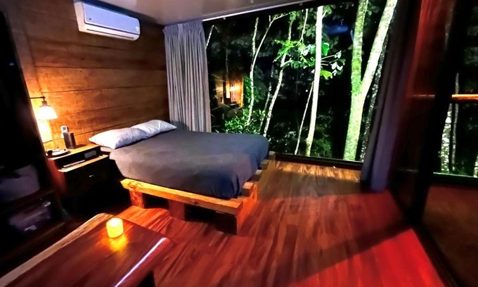 Quesada Apartamento | Sweet Jungle