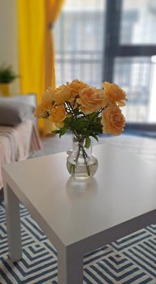 Timisoara Apartamento | Sweet Lemon Home