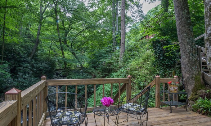 Burnsville Casa | Swim, Fish And Hike Without Leaving The Property!