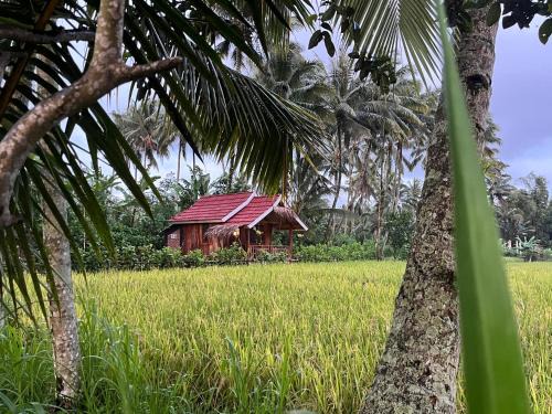 Tetebatu Casa | Syaqila Homestay Lombok