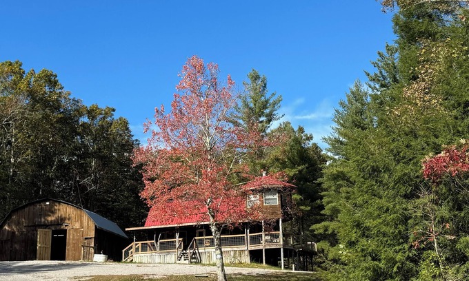 Jamestown Cabina | T&M Elite Retreat! Hike/ Ride to Trails, Big South Fork, Near Scenic Parks!