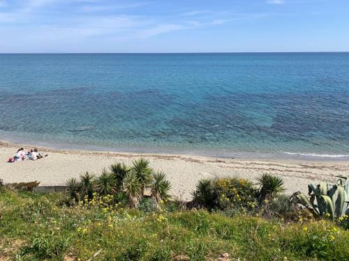 Bravone Apartamento | T2 neuf vue mer, piscine chauffée N194