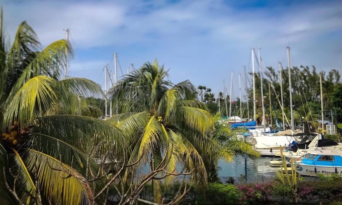 Pointe du Bout Apartamento | T3 sur la Marina à la Pointe du Bout