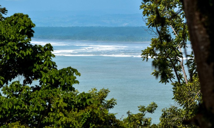 Manuel Antonio Complejo | Tabulia Tree Hotel and Villas