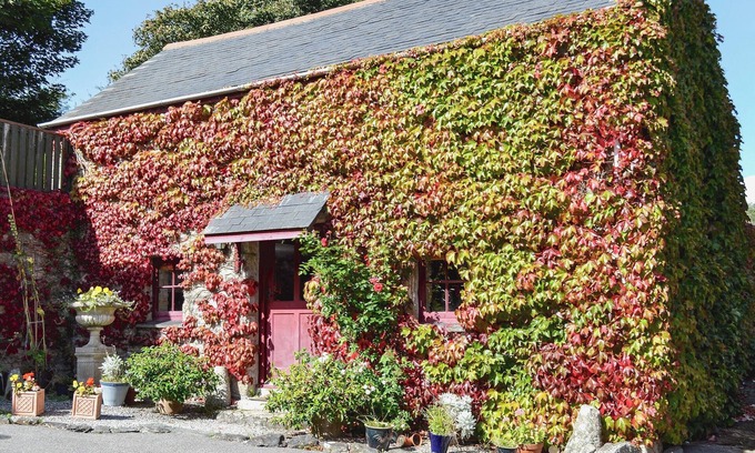 Saint Erth Praze Cabaña | 1 habitación de alojamiento en Breage, cerca de Helston