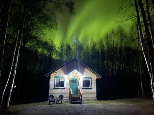 Susitna North Chalet De Esquí | Talkeetna Mount Dall Cottage with WiFi&laundry