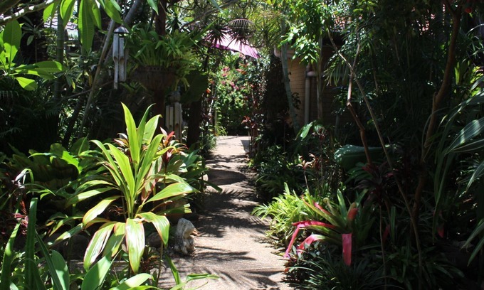 Suffolk Park Apartamento | Tallows Beach Sanctuary - Octubre / noviembre Especial $ 800 / semana.