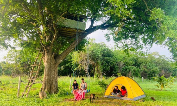 Maho Otro | Tamarind Tree Chamber