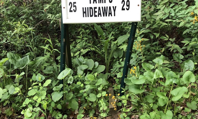 Weaverville Cabaña | Tami's Hideaway - Nature and Comfort at this Private Asheville Getaway