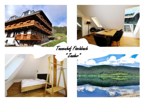 Schluchsee Apartamento | Tannenhof Fischbach - Fewo 5 "Zander" - Schluchsee, 2 Schlafzimmer Schlafgalerie, E-Auto Ladestation