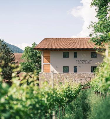 Albions Casa | TANOVINUM Apartments