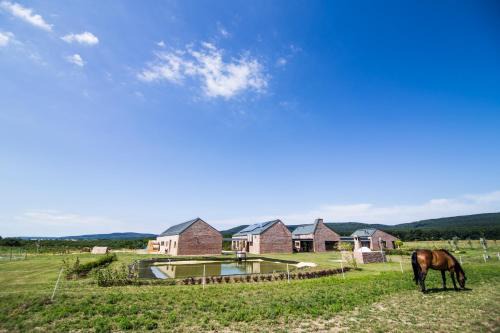 Szar Casa | Tanyaház-Öregtölgy Vendégház