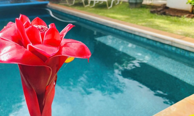 Bayview Apartamento | Taro: One of two studios / Secluded pool oasis at Walelia Getaway - South Kaua'i