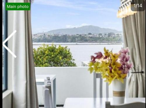 Tauranga Casa | Tauranga Harbour View