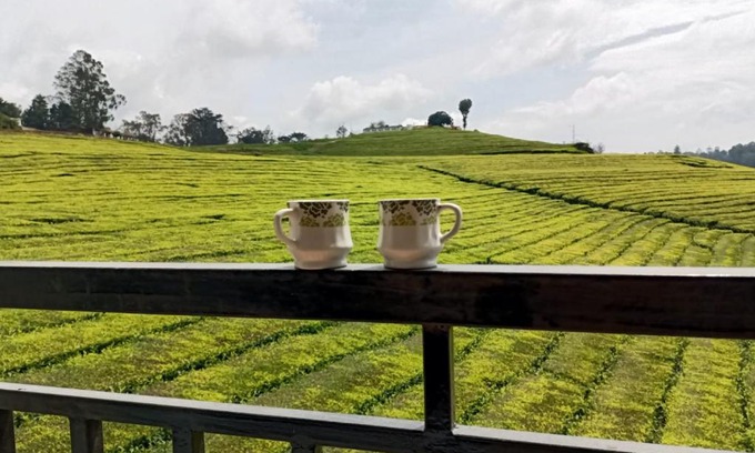 West Mere Casa | Tea Estate view stay