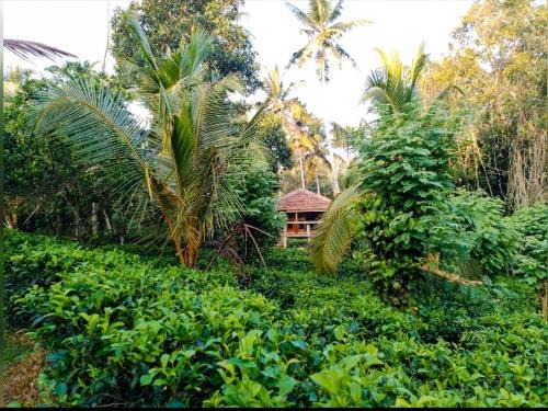 Ahangama Chalet De Esquí | Tea Heaven - Glory