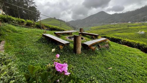 Wellington Cama Y Desayuno | Tea Leaf Stays by Brown Tree Resorts