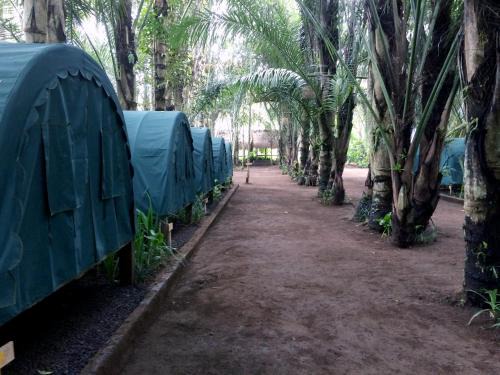 Taro Otro | Tegal Dukuh Camp