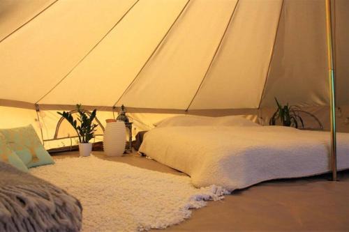 Rakvere Otro | Tempus Te Glamping Lääne - Virumaal