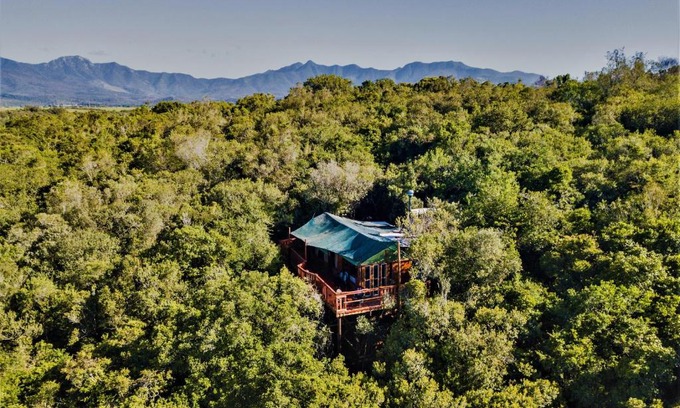 Knysna Otro | Teniqua Treetops