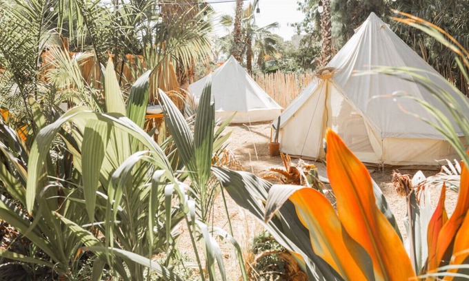 Todos Santos Alquiler De RV | Tent 2 · Cien Palmas - Glamping Tent 2 - Downtown