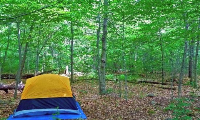 Cullman Alquiler De RV | Tent Camping ROCK THE SOUTH Walk to Rock The South.