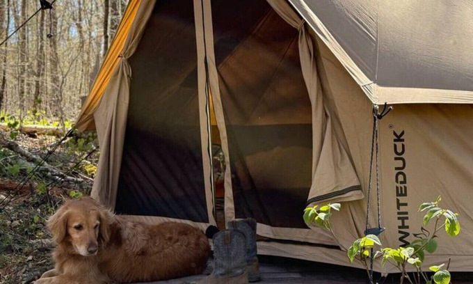 Indian Lake Alquiler De RV | Tent in Indian Lake+Pet Friendly+Brookside