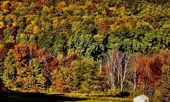 Cooperstown - Otsego Lake Alquiler De RV | Tentrr Signature Site - Fenimore Slope